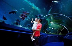 Underwater world pattaya